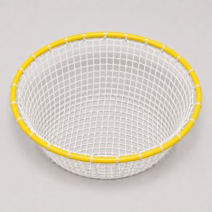 Training Hoop with Net