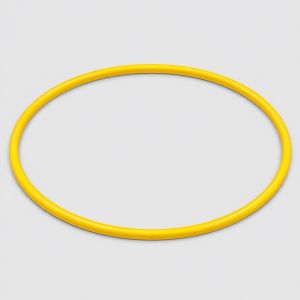 Training Hoop